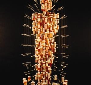 goldstein and kapellas 01a